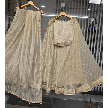 Elegant Champagne Banarasi Crush Tissue Silk Lehenga Set